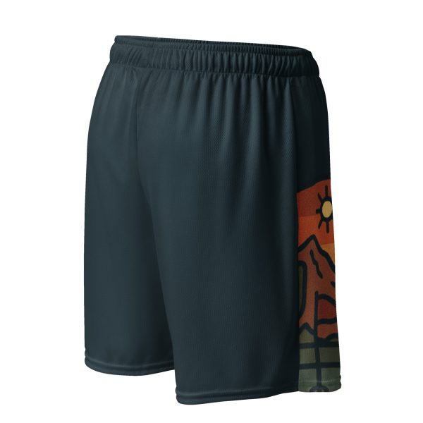 Eric's Desert Send Off Mesh shorts - Image 5